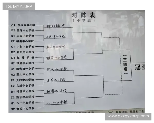 成都篮球队的控制体系与战术解析：全面提升球队竞争力的关键因素