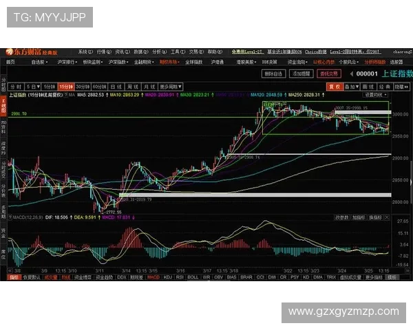 杭州羽毛球队与北京羽毛球队赛后复盘分析比赛节奏与战术对决